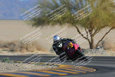 media/Feb-04-2023-SoCal Trackdays (Sat) [[8a776bf2c3]]/Turn 4 (Tree of Life 2pm)/